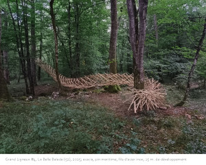 tenségrité Grand Ligneux Land art