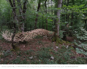 tenségrité Grand Ligneux Land art